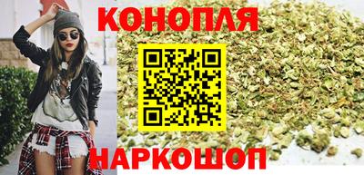 Альфа ПВП Новозыбков