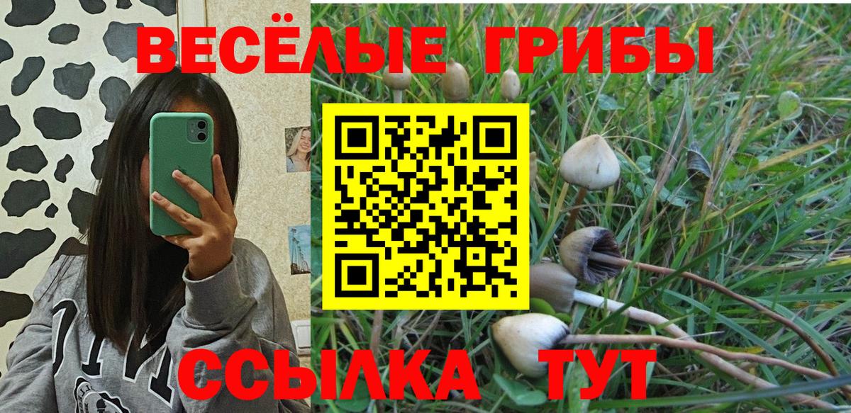 Галлюциногенные грибы Psilocybine cubensis  Вход с VPN  Санкт-Петербург  Галлюциногенные грибы ЛСД 